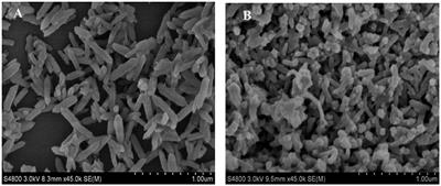 Preparation and Electrochemical Properties of Mesoporous NiFe2O4/N-Doped Carbon Nanocomposite as an Anode for Lithium Ion Battery